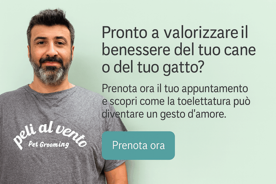 servizi toelettatura cani gatti, lavaggio taglio unghie, antiparassitari piccoli roditori domicilio